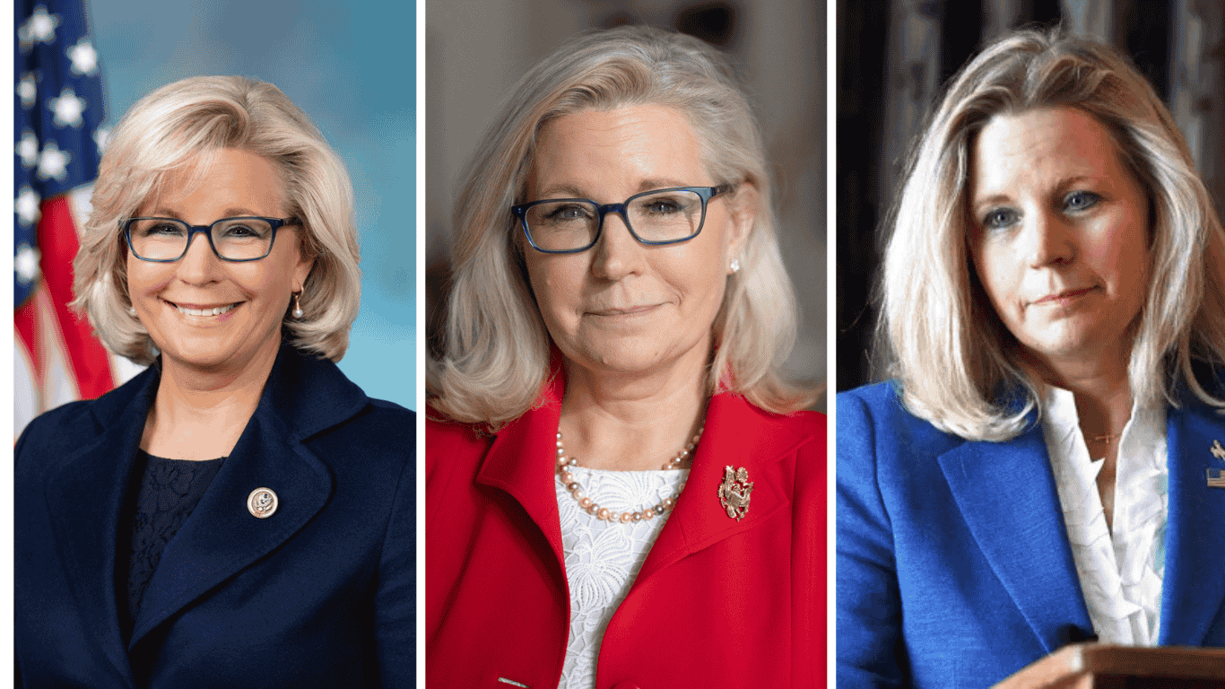 liz cheney net worth