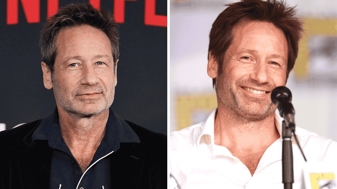 david duchovny net worth